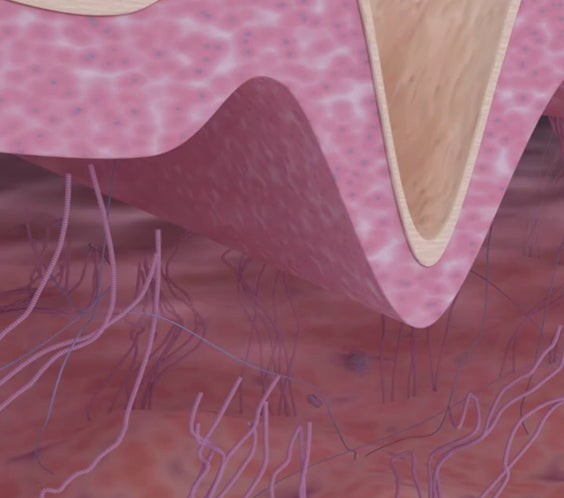 Wireless Microneedling Derma Pen/Mas Pen L3 Skin Care Tool